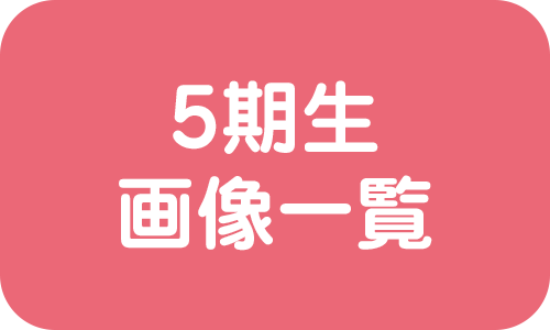 5期生
