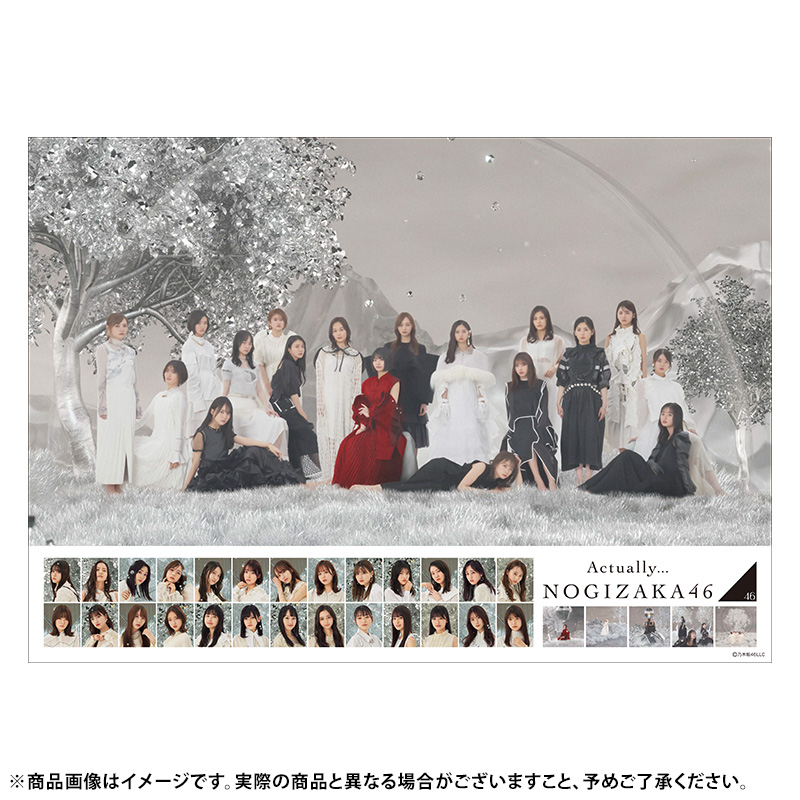 乃木坂46 OFFICIAL WEB SHOP | 乃木坂46 グッズ通販サイト