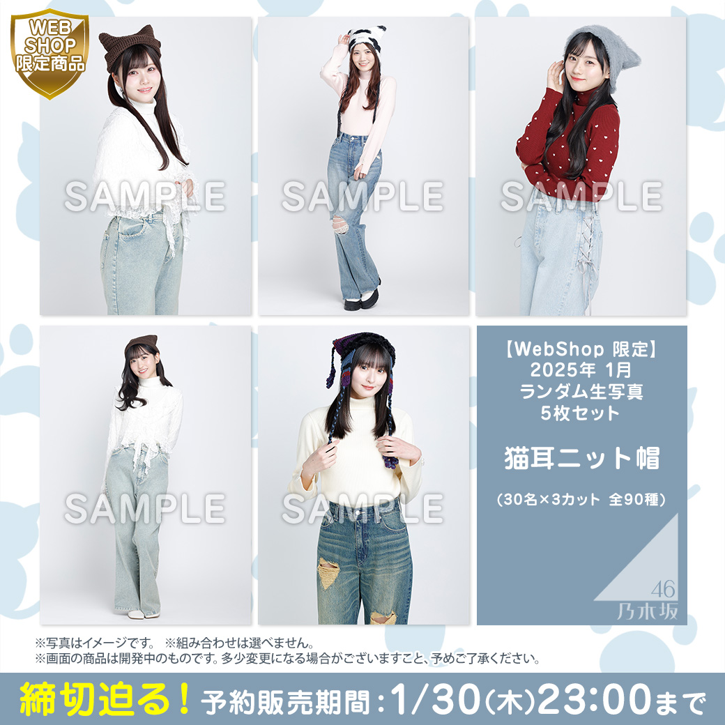 乃木坂46 グッズ詰め合わせ （日本全国送料無料商品 特集 SHOP