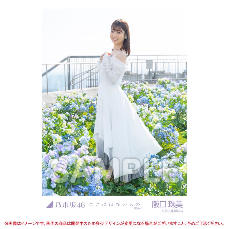 乃木坂46 OFFICIAL WEB SHOP | 乃木坂46 グッズ通販サイト