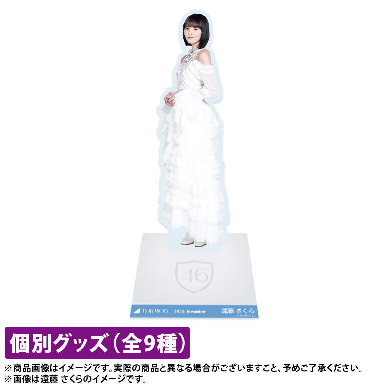 乃木坂46 OFFICIAL WEB SHOP | 乃木坂46 グッズ通販サイト