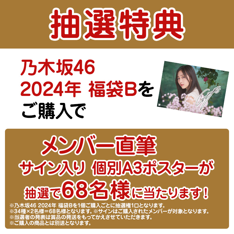 特価】【非売品】乃木坂46 林瑠奈 B2タペストリー リズム