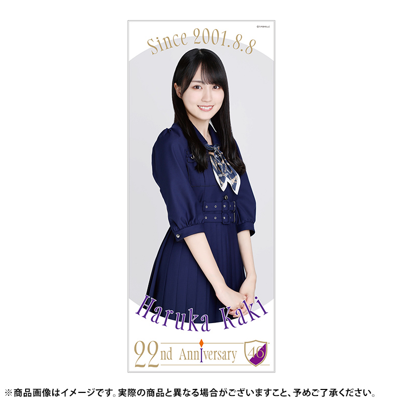 乃木坂46 OFFICIAL WEB SHOP | 乃木坂46 グッズ通販サイト