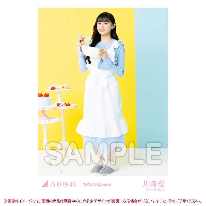 乃木坂46 OFFICIAL WEB SHOP | 乃木坂46 グッズ通販サイト