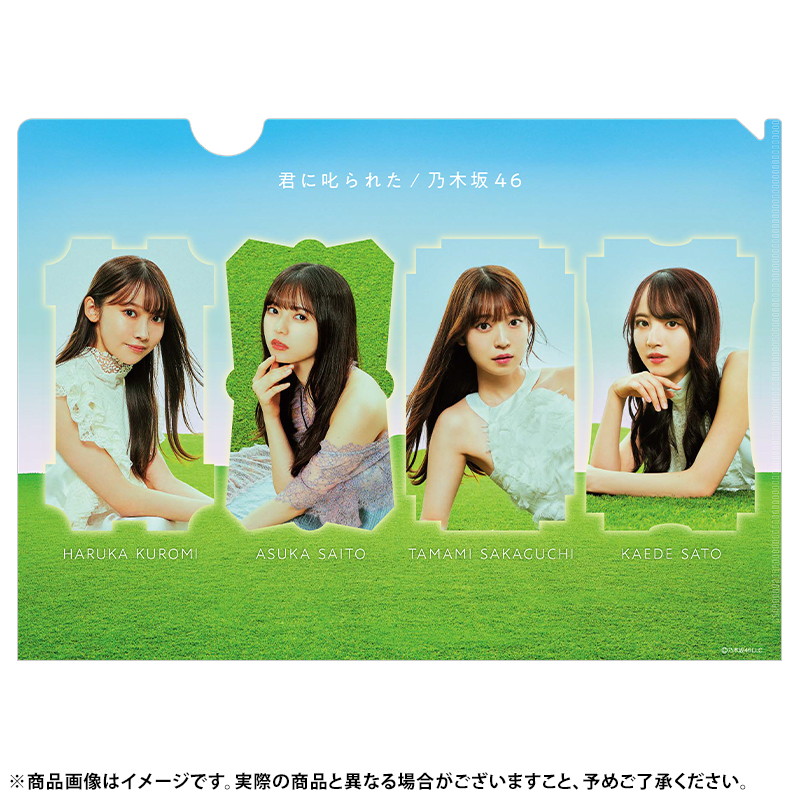 乃木坂46 OFFICIAL WEB SHOP | 乃木坂46 グッズ通販サイト