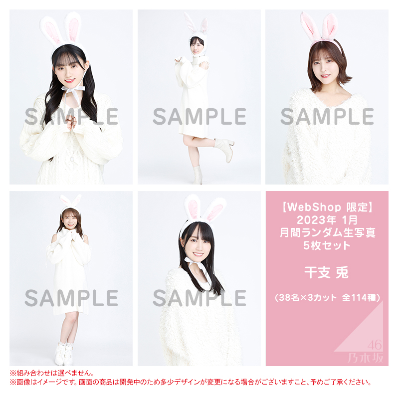 乃木坂46 OFFICIAL WEB SHOP | 乃木坂46 グッズ通販サイト