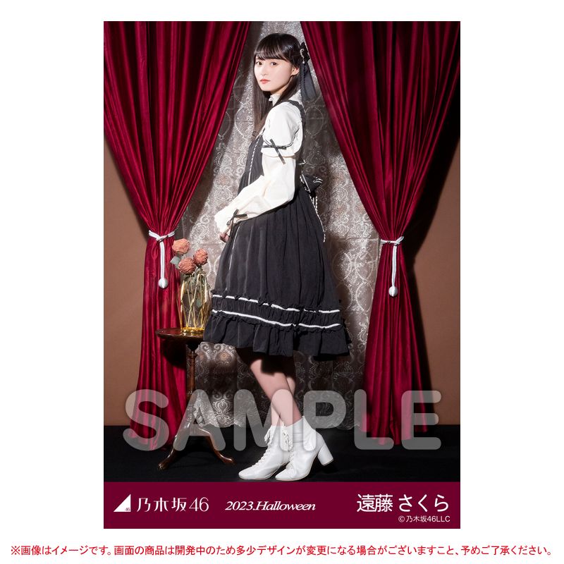 乃木坂46 OFFICIAL WEB SHOP | 乃木坂46 グッズ通販サイト