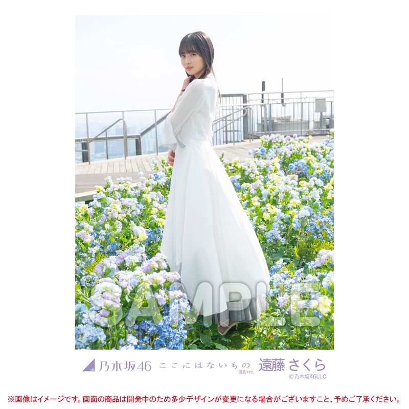 乃木坂46 OFFICIAL WEB SHOP | 乃木坂46 グッズ通販サイト