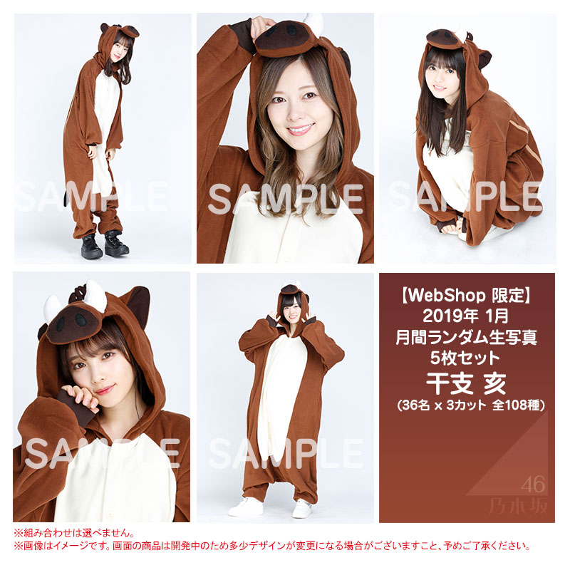 乃木坂46 OFFICIAL WEB SHOP | 乃木坂46 グッズ通販サイト