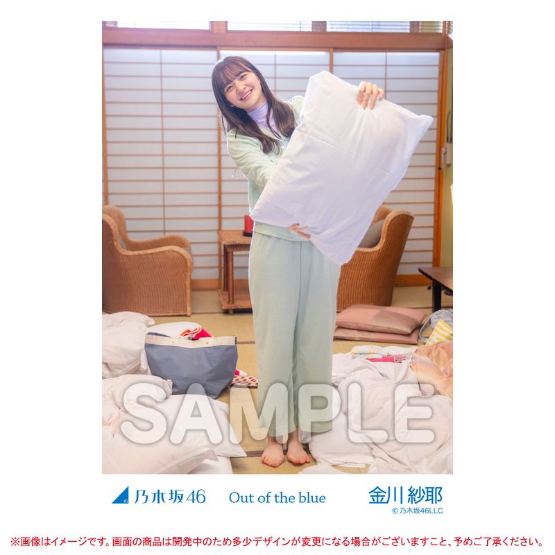 乃木坂46 OFFICIAL WEB SHOP | 乃木坂46 グッズ通販サイト