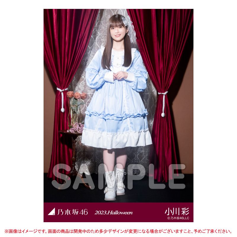 乃木坂46 OFFICIAL WEB SHOP | 乃木坂46 グッズ通販サイト