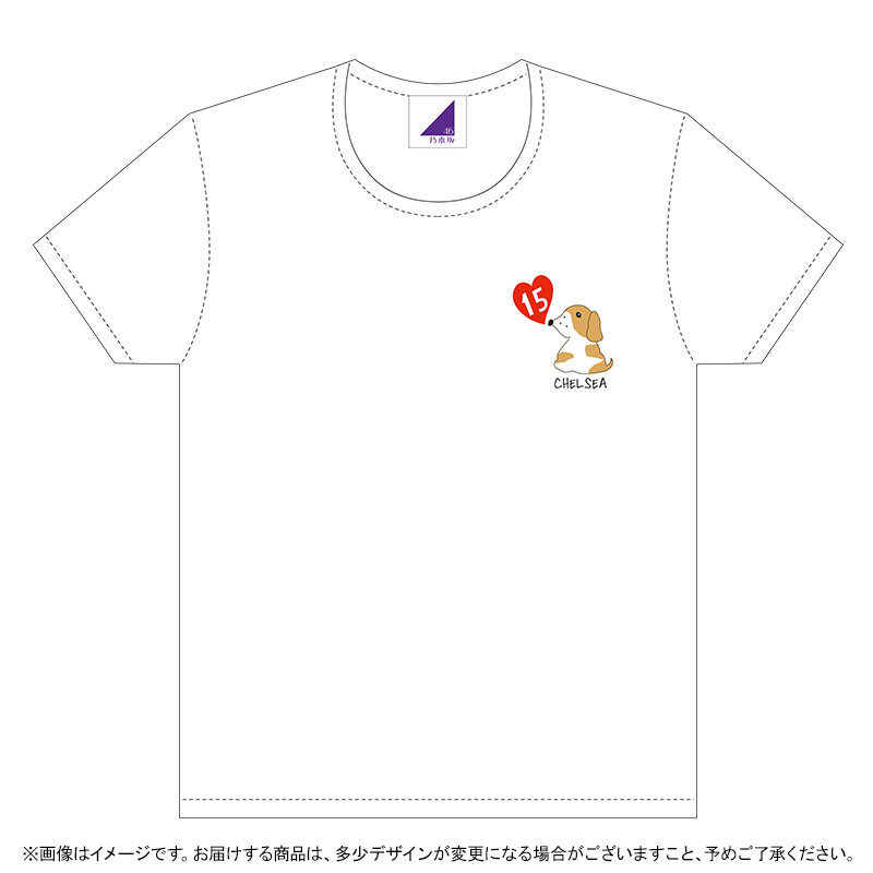 乃木坂46 OFFICIAL WEB SHOP | 乃木坂46 グッズ通販サイト