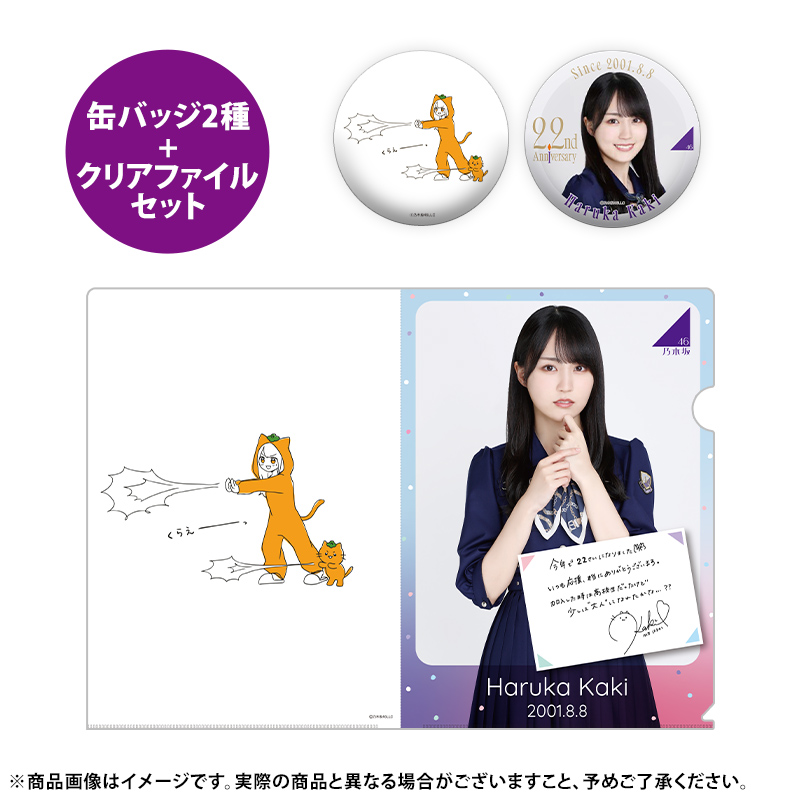 乃木坂46 OFFICIAL WEB SHOP | 乃木坂46 グッズ通販サイト