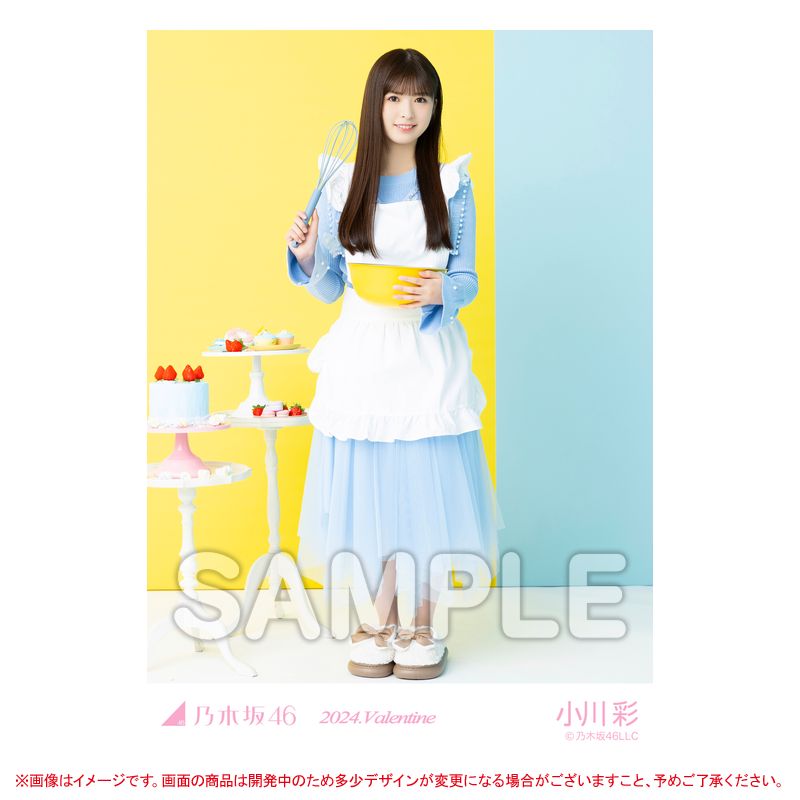 乃木坂46 OFFICIAL WEB SHOP | 乃木坂46 グッズ通販サイト