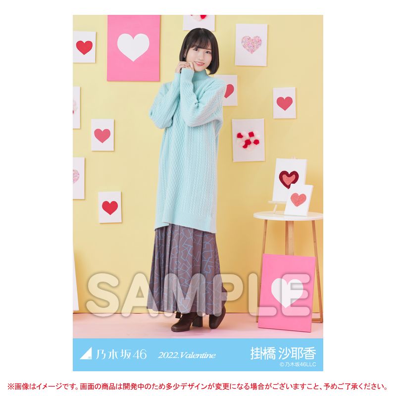 乃木坂46 OFFICIAL WEB SHOP | 乃木坂46 グッズ通販サイト