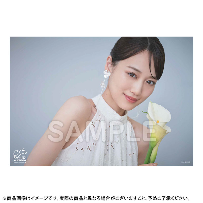 乃木坂46 OFFICIAL WEB SHOP | 乃木坂46 グッズ通販サイト