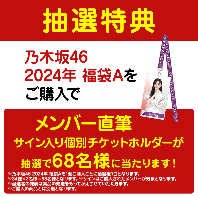 売り出し格安 元乃木坂46 早川聖来直筆サイン入りチケットホルダー