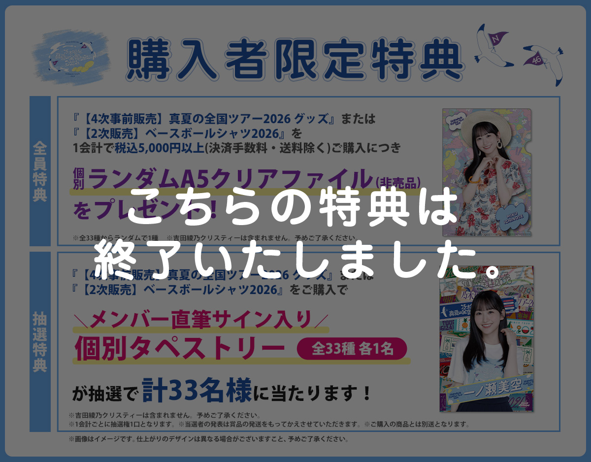 購入者限定特典(4次販売)